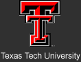 Texas Tech Homepage